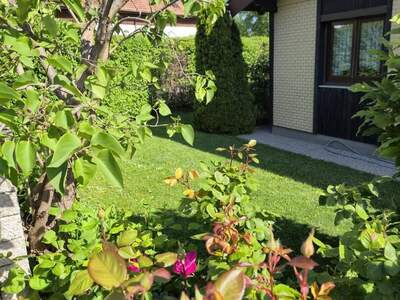 Haus provisionsfrei kaufen in 2542 Kottingbrunn