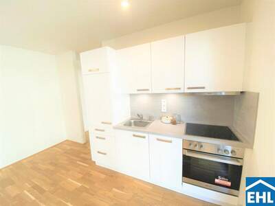 Terrassenwohnung mieten in 1100 Wien (Bild 2)