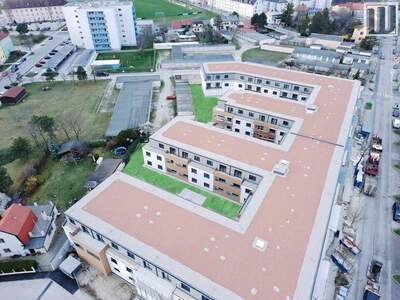 Wohnung mieten in 2700 Wiener Neustadt