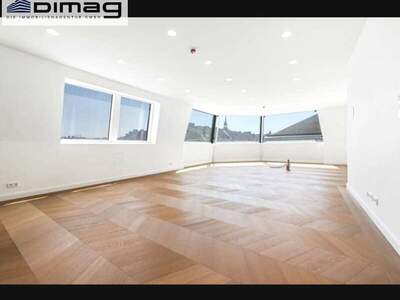 Wohnung kaufen in 1010 Wien