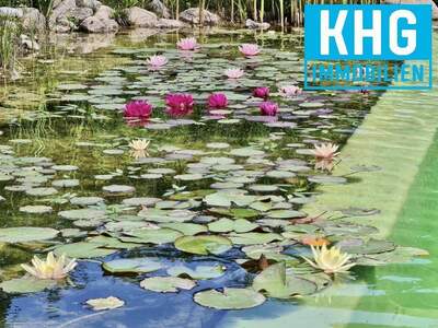 Haus kaufen in 3400 Klosterneuburg