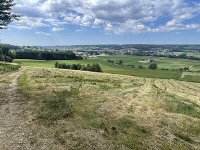 Gewerbeobjekt kaufen in 8272 Bad Waltersdorf