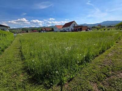 Grundstück kaufen in 8455 Oberhaag