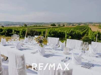 Gewerbeobjekt kaufen in 2130 Mistelbach