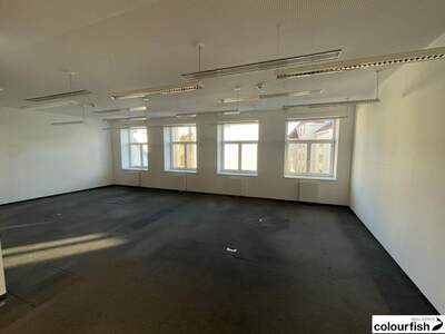 Gewerbeobjekt mieten in 1010 Wien (Bild 3)