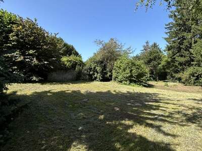 Grundstück kaufen in 2380 Perchtoldsdorf (Bild 2)