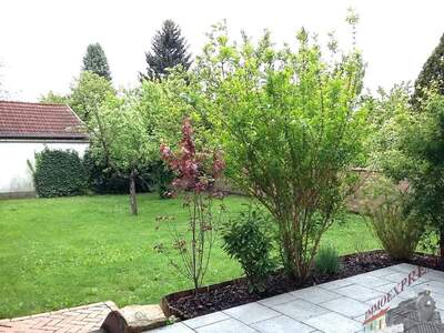 Haus mit Garten kaufen in 2485 Wimpassing (Bild 1)