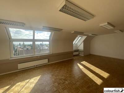 Gewerbeobjekt mieten in 1230 Wien (Bild 4)