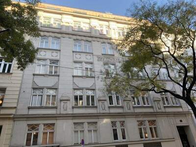 Terrassenwohnung mieten in 1080 Wien (Bild 2)