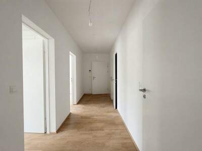 Terrassenwohnung kaufen in 1100 Wien (Bild 5)