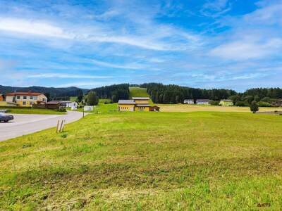 Anlageobjekt kaufen in 8742 Obdach