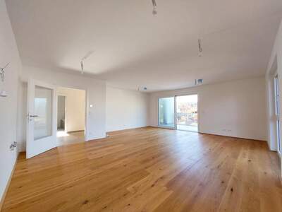Terrassenwohnung kaufen in 1220 Wien (Bild 2)