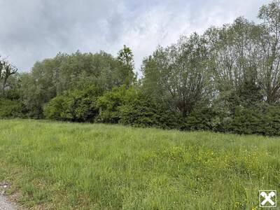 Grundstück kaufen in 6972 Fußach