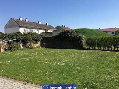 Wohnung mieten in 4600 Wels (Bild 3)