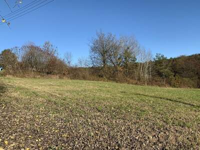 Grundstück kaufen in 8380 Jennersdorf (Bild 4)