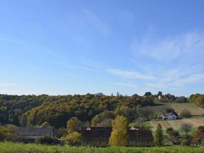 Haus kaufen in 8280 Fürstenfeld