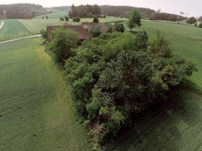 Haus mit Garten kaufen in 3823 Wetzles (Bild 5)