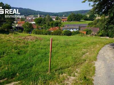 Grundstück kaufen in 3962 Heinrichs (Bild 2)