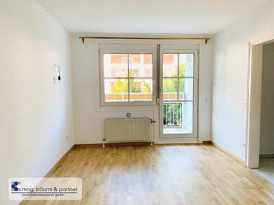 Terrassenwohnung mieten in 1130 Wien (Bild 2)