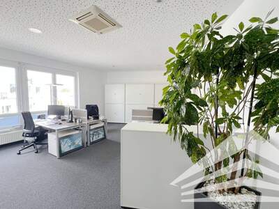 Gewerbeobjekt mieten in 4030 Linz