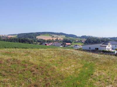 Grundstück kaufen in 4710 Grieskirchen