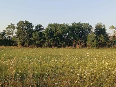 Plot / Land provisionsfrei kaufen in 2424 Nickelsdorf