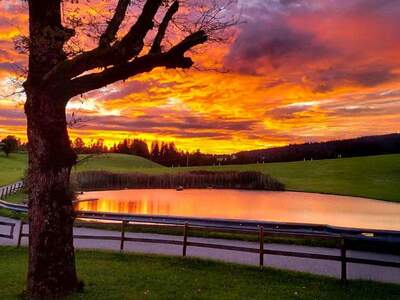 Grundstück kaufen in 6900 Möggers (Bild 1)