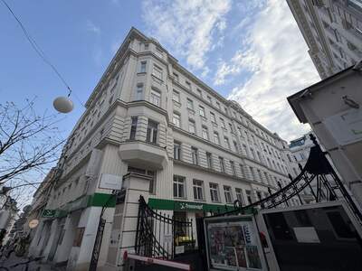 Gewerbeobjekt mieten in 1070 Wien (Bild 3)