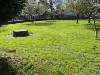 Grundstück kaufen in 2231 Strasshof (Bild 5)