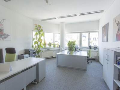 Gewerbeobjekt mieten in 8041 Graz (Bild 3)