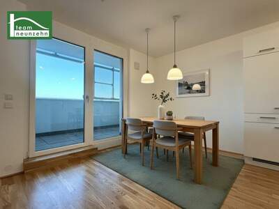 Terrassenwohnung mieten in 1220 Wien (Bild 1)