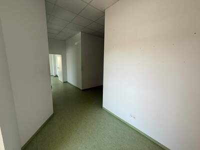 Büro / Praxis mieten in 2544 Leobersdorf (Bild 4)