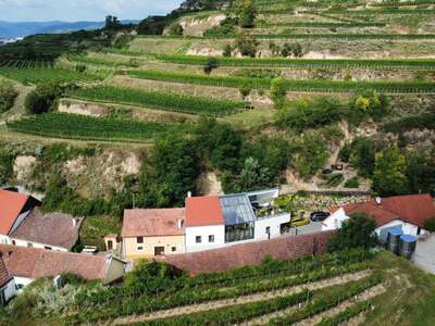 Gewerbeobjekt kaufen in 3495 Rohrendorf