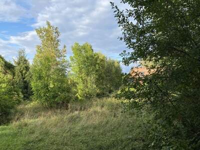 Grundstück kaufen in 1140 Wien (Bild 4)