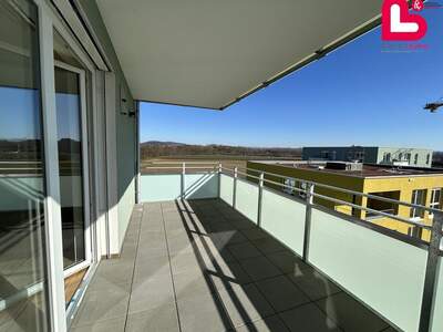 Wohnung mit Balkon kaufen in 4481 Asten (Bild 5)