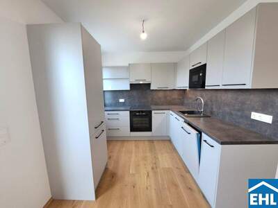 Terrassenwohnung kaufen in 1220 Wien (Bild 3)