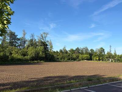 Grundstück provisionsfrei kaufen in 8490 Bad Radkersburg