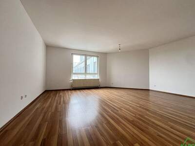 Apartment provisionsfrei mieten in 1100 Wien