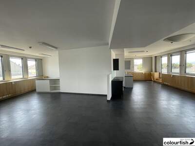 Gewerbeobjekt mieten in 1050 Wien (Bild 5)