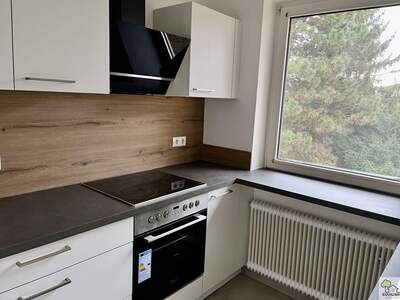 Altbauwohnung mieten in 1180 Wien (Bild 1)