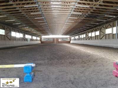 Immobilie mieten in 8732 Seckau (Bild 5)