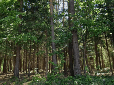 Gewerbeobjekt kaufen in 7532 Litzelsdorf