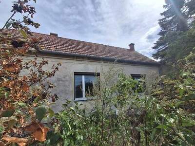 Haus kaufen in 7053 Hornstein
