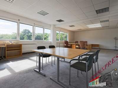 Büro / Praxis mieten in 2471 Pachfurth (Bild 1)