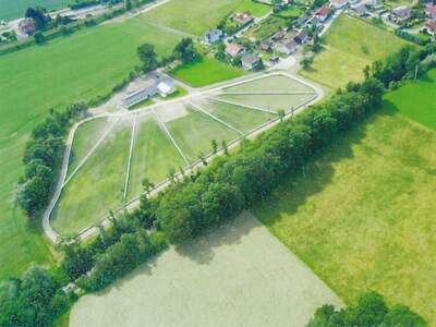 Gewerbeobjekt kaufen in 4910 Ried (Bild 1)