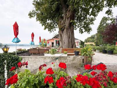 Gewerbeobjekt kaufen in 3680 Metzling