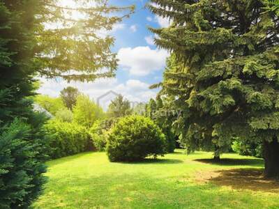 Haus mit Garten kaufen in 2483 Ebreichsdorf (Bild 2)