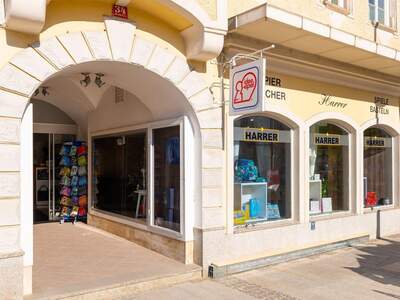 Gewerbeobjekt mieten in 4070 Eferding (Bild 1)