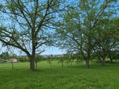Grundstück kaufen in 7201 Neudörfl