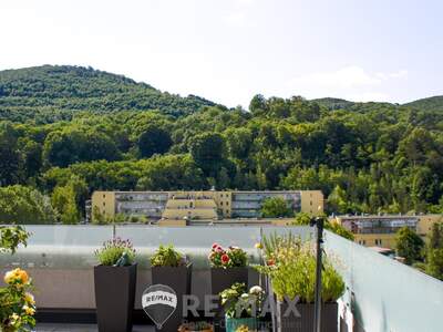 Terrassenwohnung kaufen in 2391 Kaltenleutgeben (Bild 4)